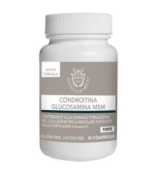 CONDROITINA GLUCOSAMINA MSM